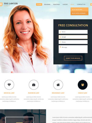 lawyer2
